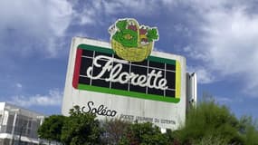 Le groupe Florette demande aux consommateurs de ne pas consommer les sachets de persil achetés entre le 4et le 11 juillet (Photo d'illustration).