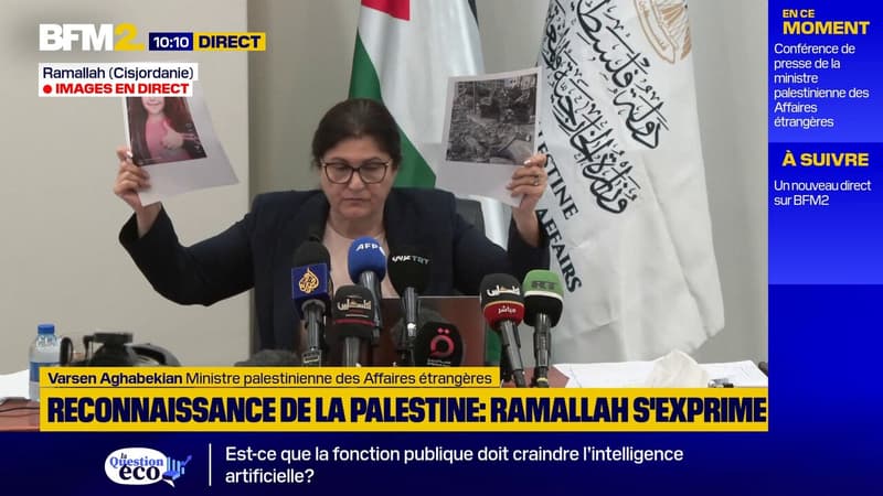 Reconnaissance de la Palestine par dix pays : 
