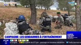 Carpiagne : 20 gendarmes du PSIG en exercice grandeur nature avec l'armée de Terre