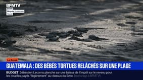 Le break du 3 octobre