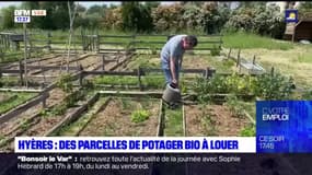 Hyères: des parcelles de potager bio à louer