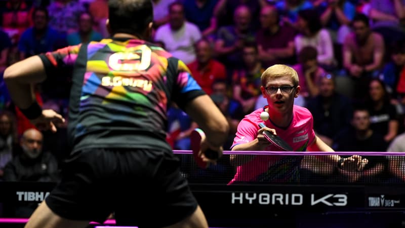 "Une superbe opportunité d’être aussi proche d’eux": ces mordus de ping qui payent 20 euros pour voir les joueurs s'entraîner au WTT Champions de Montpellier