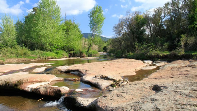 La réserve naturelle nationale de la plaine des Maures.