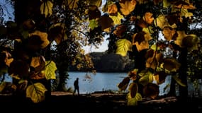 Une personne passe devant des arbres dans le parc de la Tete d'Or, le 10 octobre 2017 à Lyon. (photo d'illustration)