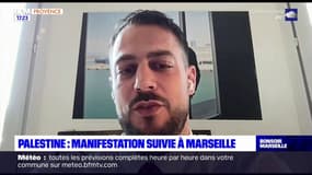 Le député LFI Sébastien Delogu appelle les citoyens à venir manifester pour la Palestine