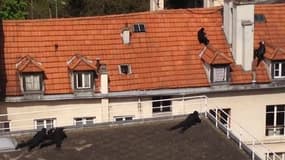 Un couple menace de faire exploser son appartement - Témoins BFMTV