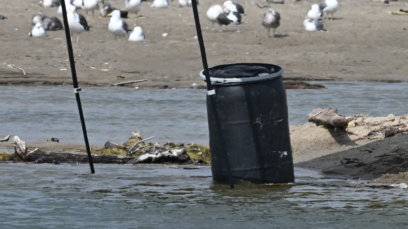 Un tonneau où un corps a été découvert à Malibu Lagoon State Beach, en Californie, le 31 juillet 2023.