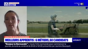 Orne: la finale des meilleurs apprentis de France dans les métiers du cheval se tient ce week-end au Haras du Pin