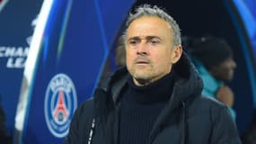 Luis Enrique en marge de Salzbourg-PSG en Ligue des champions, le 10 décembre 2024