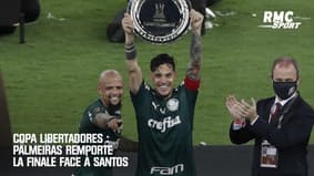 Copa Libertadores : Palmeiras remporte la finale face à Santos