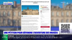 Strasbourg: une pétition lancée pour défendre l'ouverture des musées