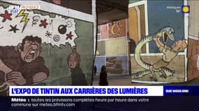 Tintin : de la BD aux murs des carrières de lumières