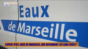 Expert d'Ici : Eaux de Marseille, que deviennent les eaux usées ?