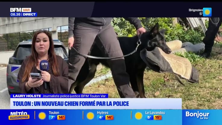 Toulon : un nouveau chien formé par la police