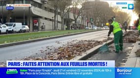 Paris: attention aux feuilles mortes sur la voie publique