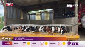 Les agriculteurs prêts à se mobiliser dès le 26 mai 