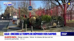 Lille: il est encore temps de déposer vos sapins de Noël