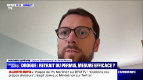 Retrait de permis pour conduite sous l'emprise de stupéfiants: "C'est une guerre totale qu'a déclarée Gérald Darmanin, [...] et c'est évidemment indispensable", affirme Mathieu Lefèvre (Renaissance)