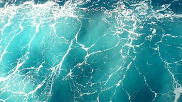 Amoéba a mis au point un biocide naturel utilisé pour le traitement des eaux industrielles