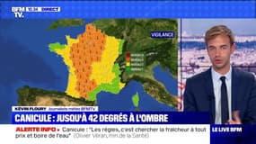 Canicule: jusqu'à 42 degrés à l'ombre (2) - 07/08