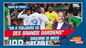Équipe de France : "On a toujours eu des grands gardiens" souligne Di Meco 