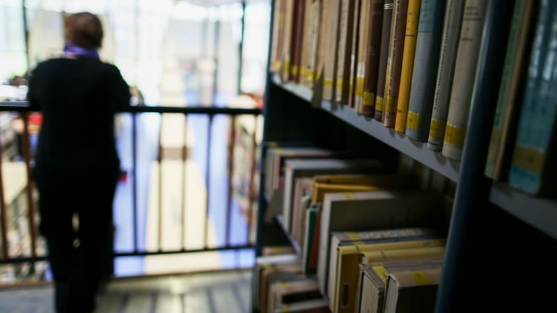 La bibliothèque à l'université de Rouen-Normandie (photo d'illustration)