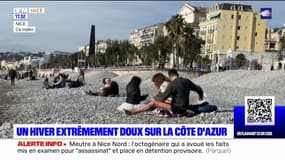 Côte d'Azur: des températures anormalement douces cet hiver