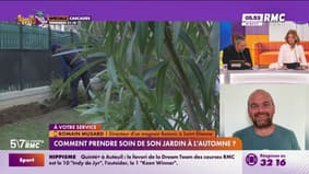 Pourquoi l’automne est-il la saison clé pour votre jardin ?