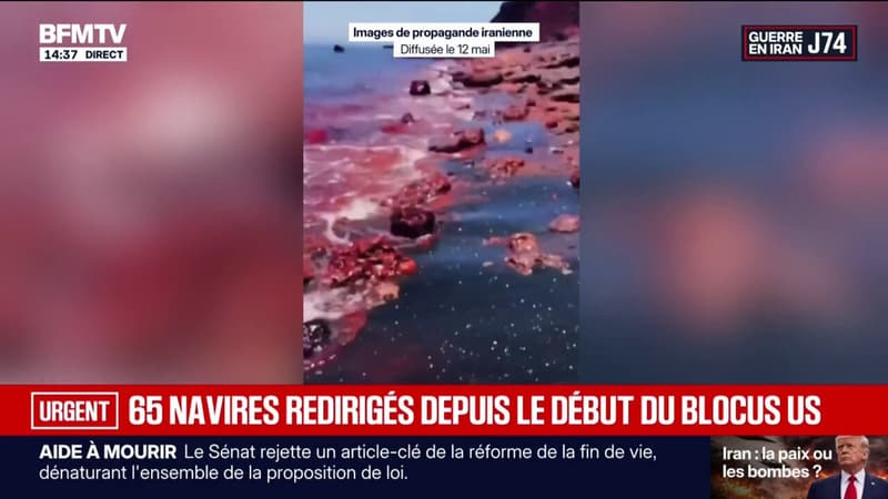 Blocage du détroit d'Ormuz: un levier dont les Iraniens ne veulent pas se défaire