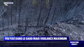 Incendie dans le Gard: le feu est fixé mais la vigilance reste maximale
