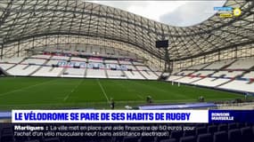 Le Vélodrome se pare de ses habits de rugby