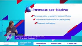 Passeport "non genre" aux Etats-Unis: faut-il le faire en France ? - 28/10