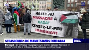 Strasbourg: 300 personnes réunies pour exiger un cessez-le-feu à Gaza