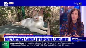 Maltraitance animale, phénomène inquiétant