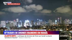 Attaque de drones iraniens sur Israël: "Israël va se défendre" et n'exclut pas "une défense active", selon l'ambassadrice Alona Fisher Kamm
