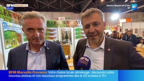 Marseille 2026 : Franck Allisio et Stéphane Ravier s'affichent côte à côte