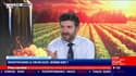Jean-Marc Jocteur (U'Wine) : Investir dans le vin en 2022, bonne idée ? - 21/01