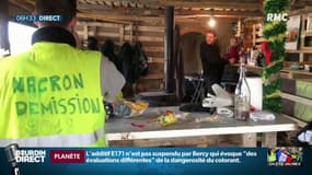 Manifester à Paris ou pas? Le dilemme des "gilets jaunes" après des semaines de mobilisation