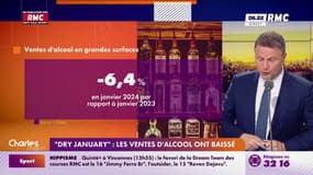 Manu Conso - "Dry January" : Les ventes d'alcool ont baissé 
