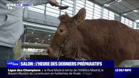 Salon de l'Agriculture:  "On a tous des messages à faire passer à Emmanuel Macron", déclare l'éleveur de la vache égérie Oupette