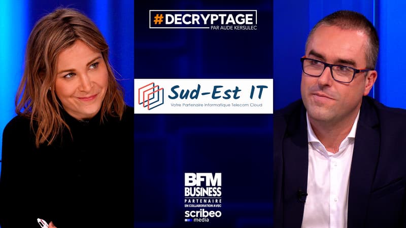 SUD-EST IT : accompagner durablement les entreprises dans la maintenance, les télécoms et l'informatique