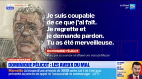 Dominique Pelicot: les aveux du mal
