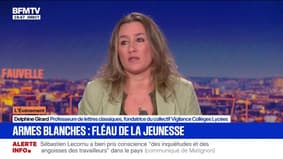 Enseignante poignardée en classe: "La jeunesse se radicalise religieusement ou politiquement, de manière violente", affirme Delphine Girard, professeure de lettres classiques