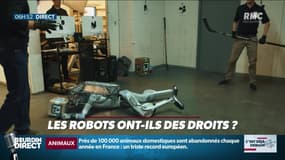 La chronique d'Anthony Morel : Les robots ont-ils des droits ? - 19/06