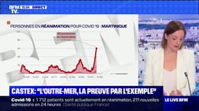 Covid-19: quelle est la situation en Guadeloupe et en Martinique ?