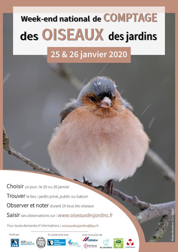 Affiche du comptage de l'hiver 2020 Affiche du comptage de l'hiver 2020