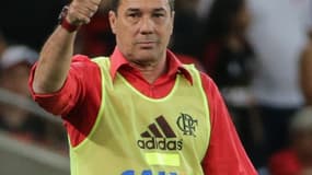 Vanderlei Luxemburgo