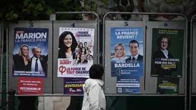Des panneaux d'affichage pour les élections européennes du 9 juin 2024, à Ars-en-Ré (Charente-Maritime), le 29 avril 2024.