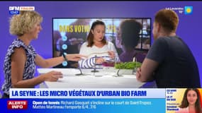 Dans votre assiette du jeudi 19 septembre - La Seyne, les micro végétaux d'Urban Bio Farm