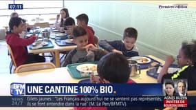 Une cantine 100% bio